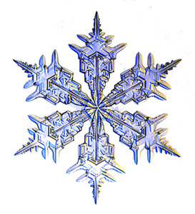 Snowflake_300h_2